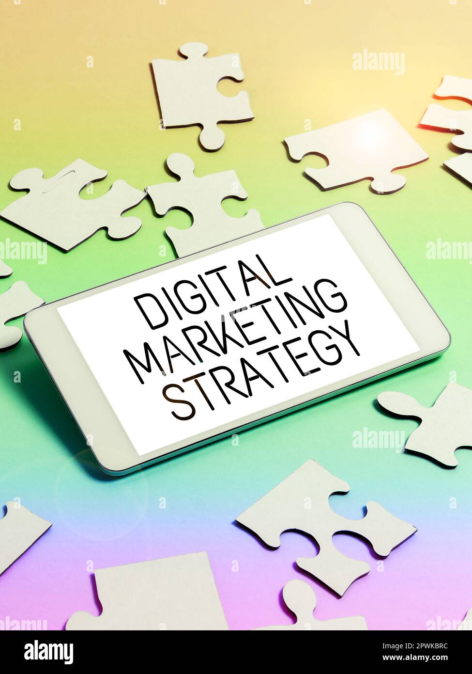 Text showing inspiration Digital Marketing Strategy, Business showcase