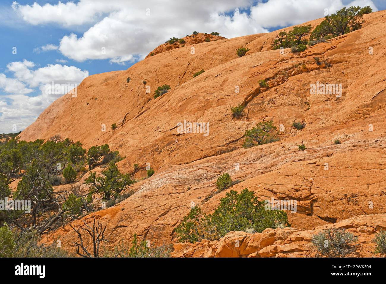 Sandstone Dome in the Desert in Canyonlands National Park in Utah Stock