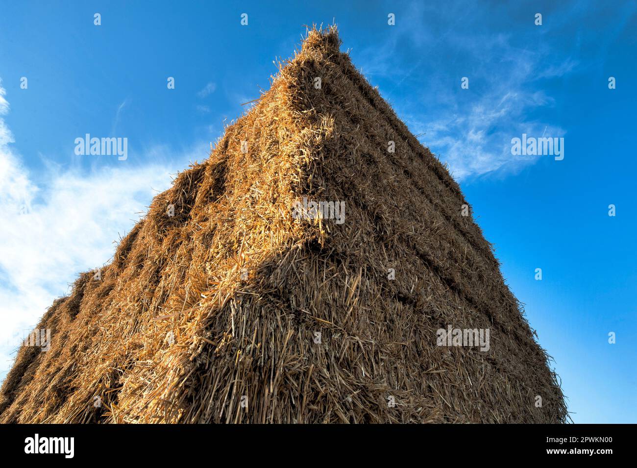 Detail view of a stack of pressed hay bale Stock Photo - Alamy