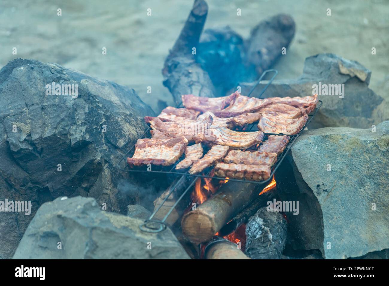 grilled ribs on a fire on the beach. High quality photo Stock Photo - Alamy