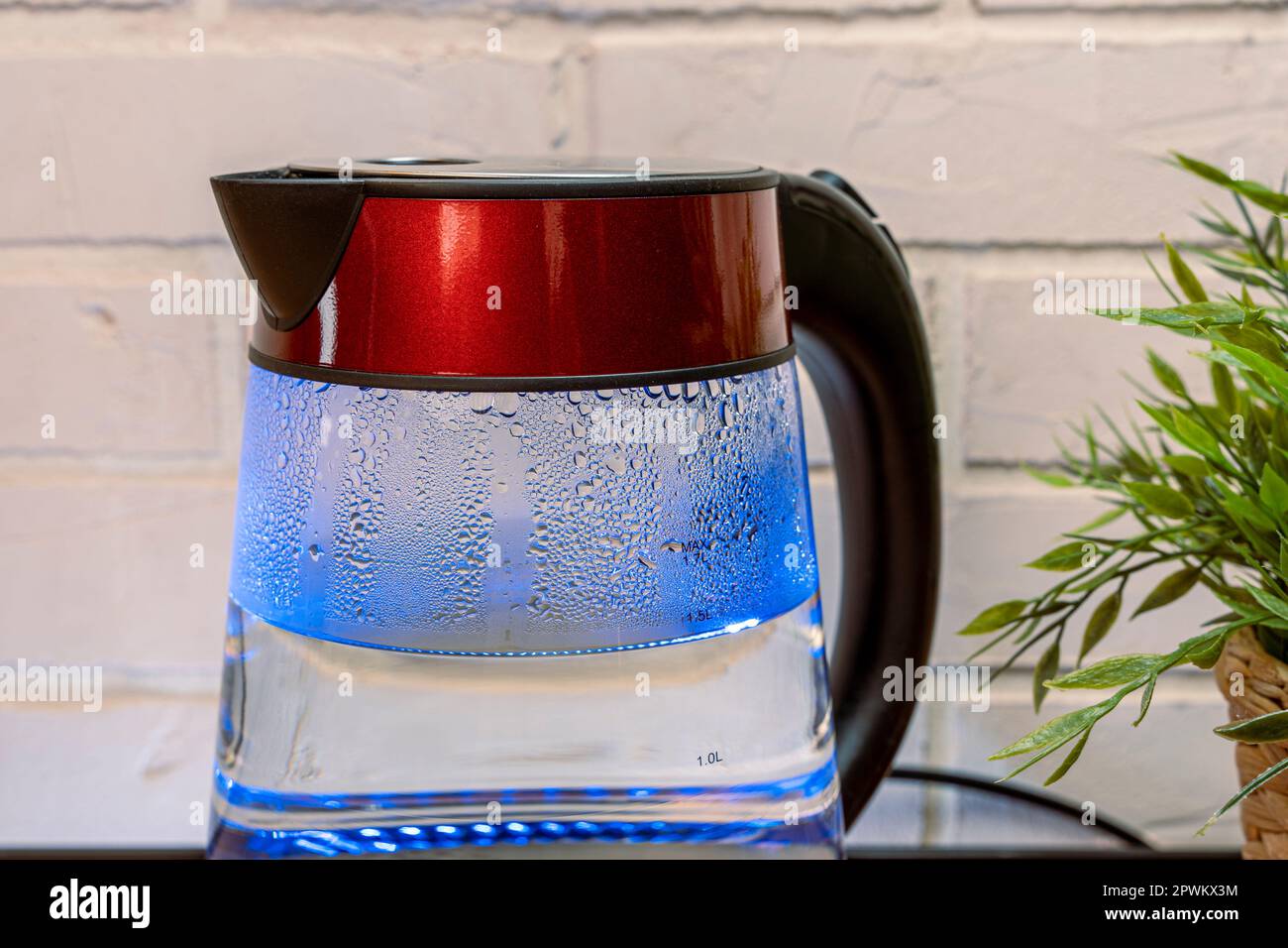 electric kettle with a blue neon LED backlight of heatresistant glass