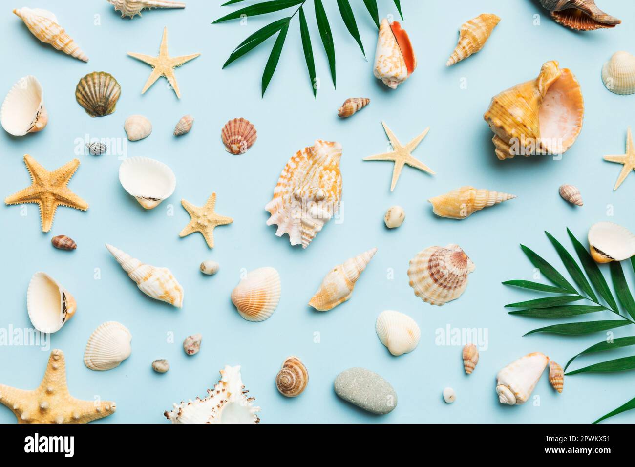 Summer time concept Flat lay composition with beautiful starfish and ...