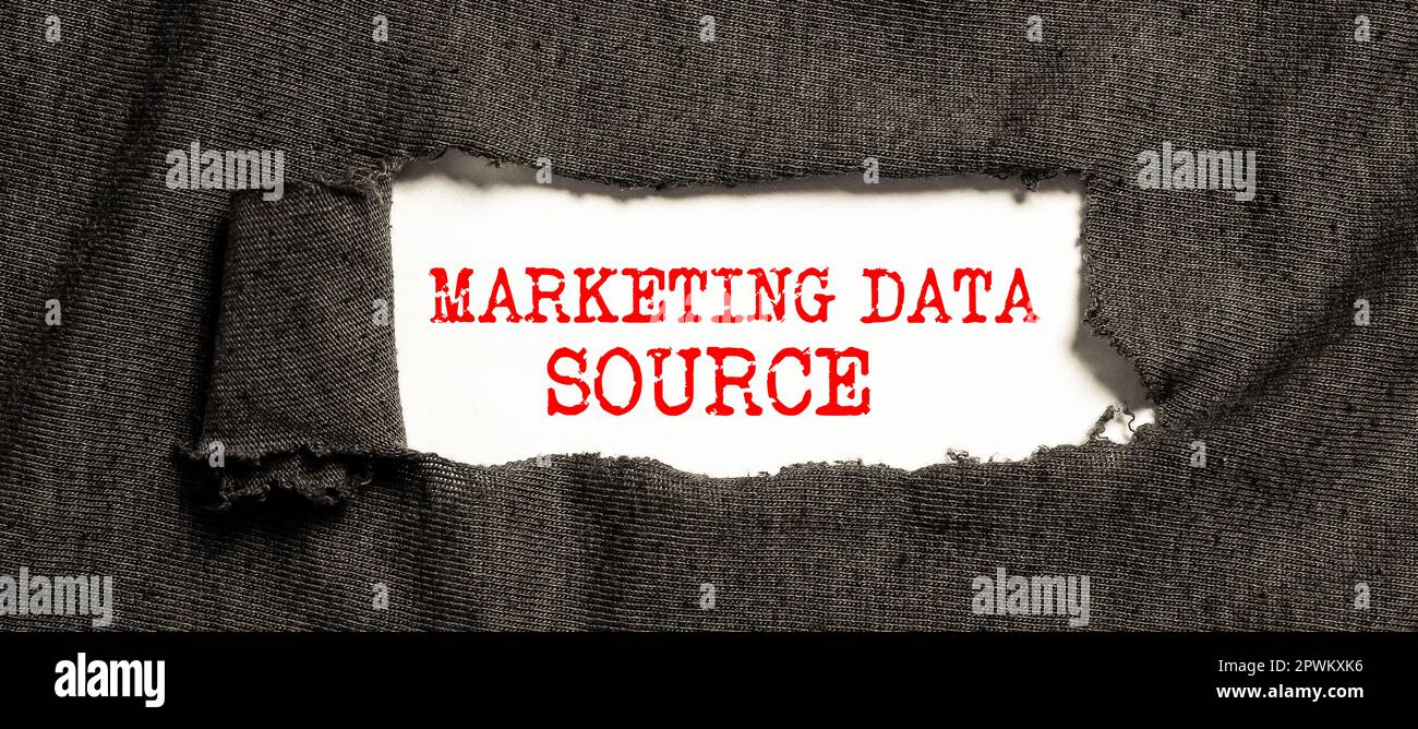 Text showing inspiration Marketing Data Source, Internet Concept connection set up to a database from a server Stock Photo