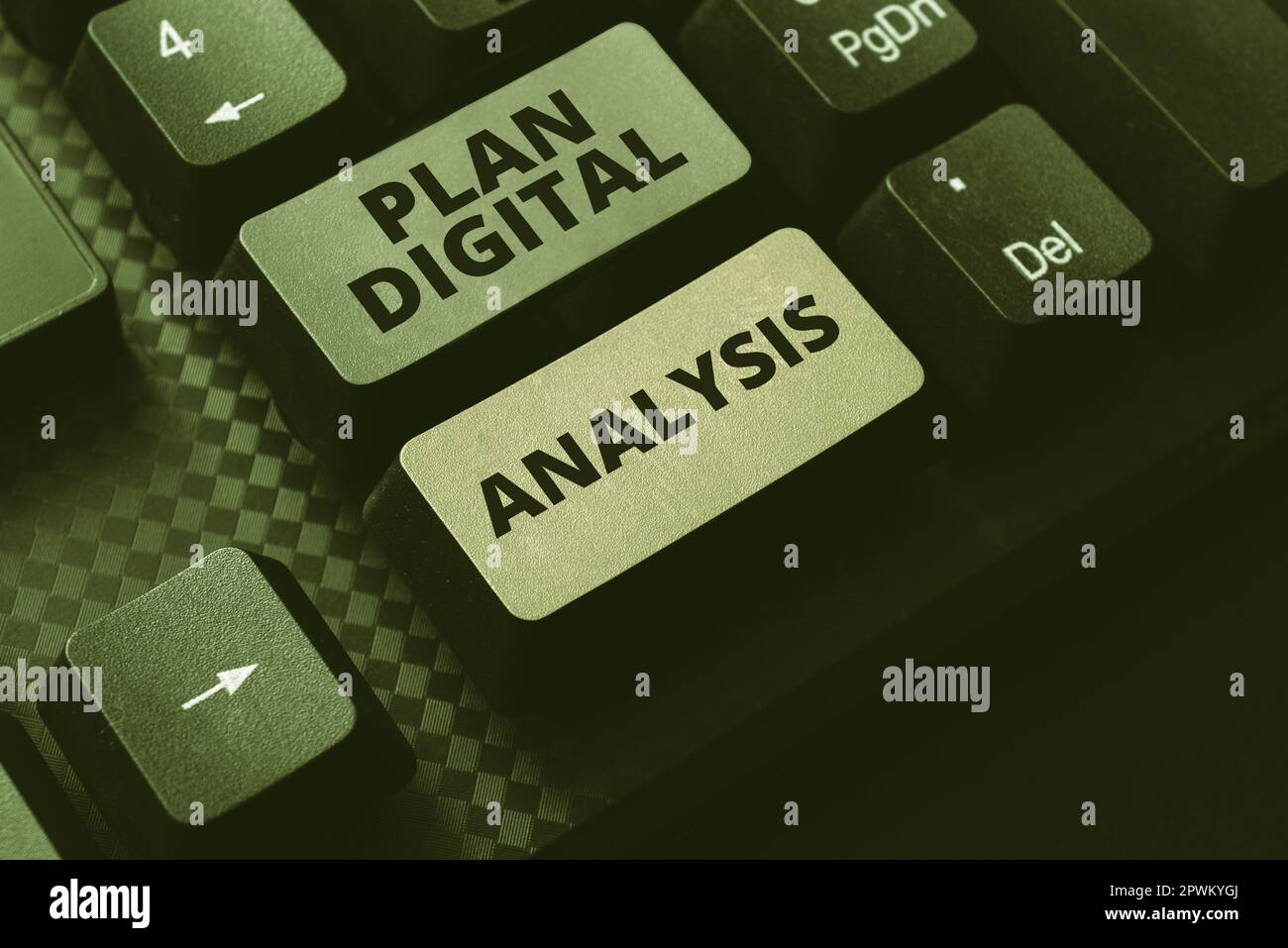 Conceptual caption Plan Digital Analysis, Business showcase Analysis of qualitative and quantitative digital data Stock Photo