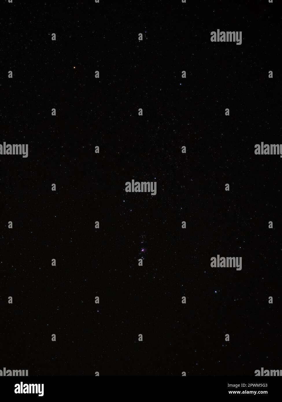 The constellation of Orion with the Orion Nebula clearly visible in The