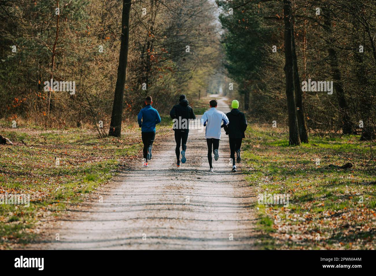 Teamwork Makes the Dream Work: Push Your Limits with These Experienced Runners on a Stunning Forest Trail. Stock Photo