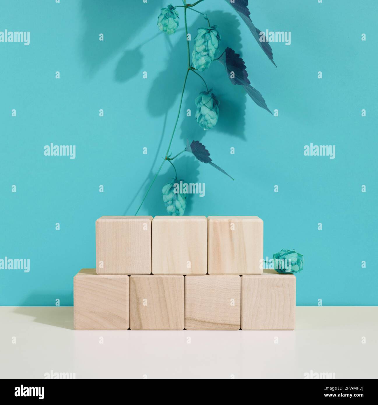 Podium from wooden cubes and a branch with leaves. Stage for the ...