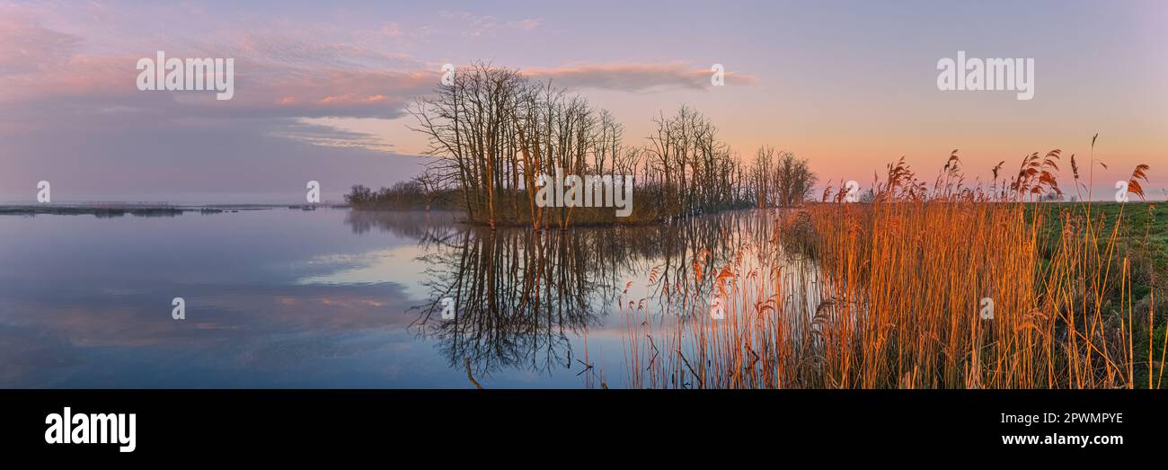 A spring morning with a layer of mist over the water and a beautiful sunrise in 3:1 format in Tusschenwater, a nature reserve in the municipality of T Stock Photo