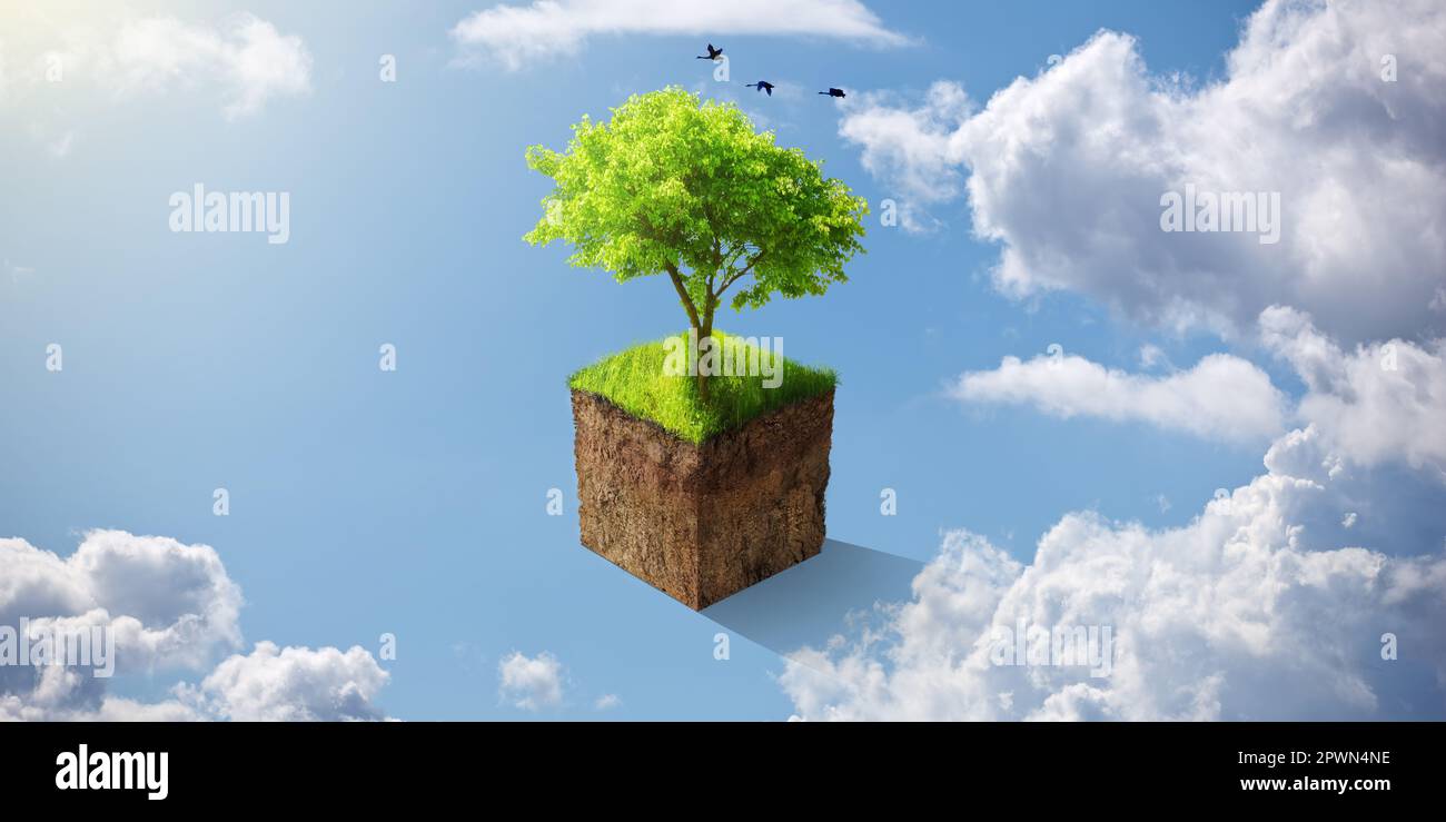 Sustainable, agriculture and eco friendly tree in the sky for earth day