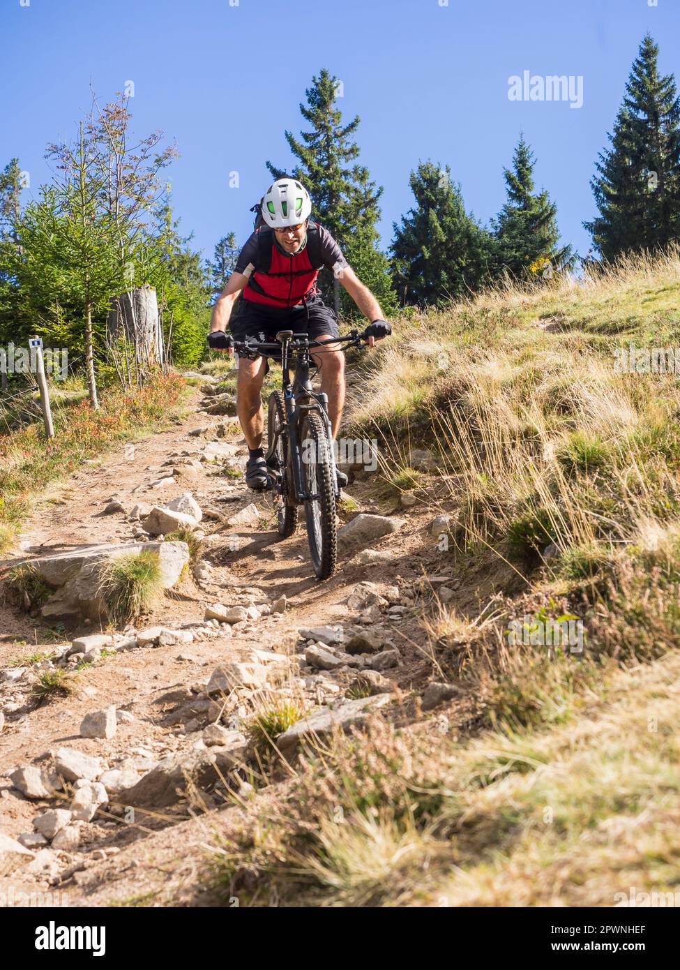Man riding electric bicycle on a single trail near Ferme Auberge Seestadle, France Stock Photo