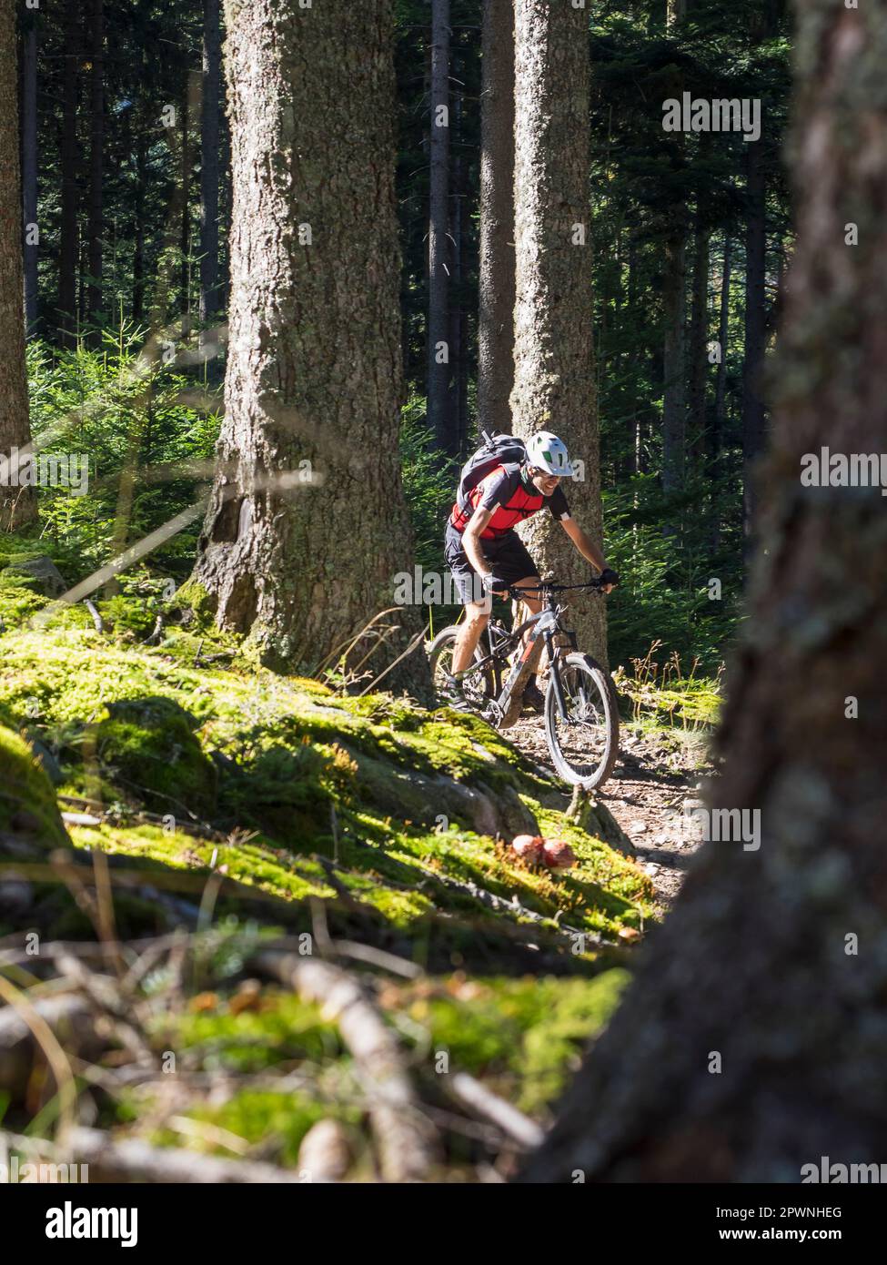 Man cycling in the woods near the commune of Munster, France Stock Photo