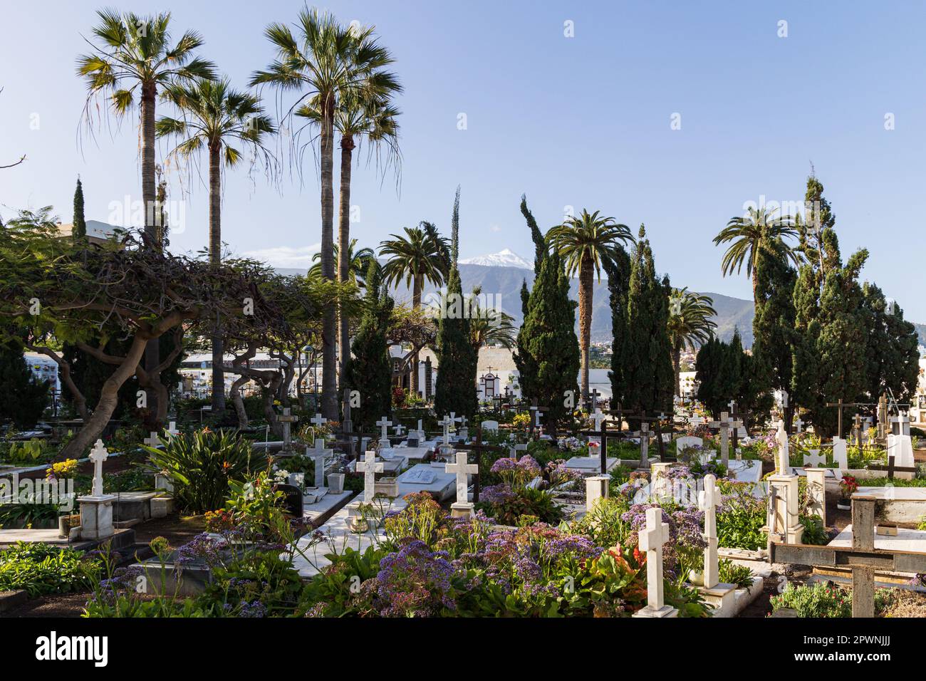 Cemeterio Municipal, the municipal cemetery of Puerto de la Cruz, Canary island of Tenerife, Spain Stock Photo