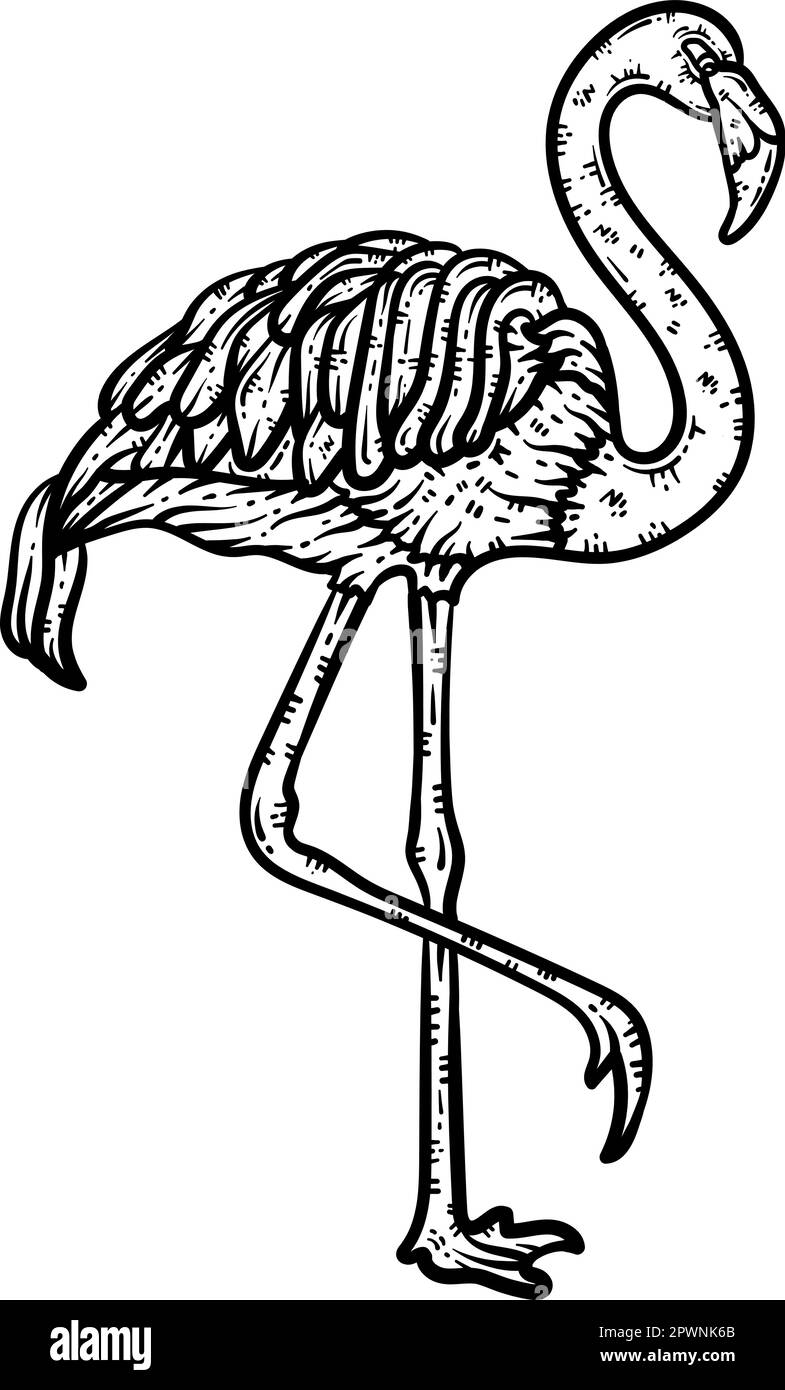 Flamingo Animal Coloring Page for Adults Stock Vector Image &amp; Art - Alamy