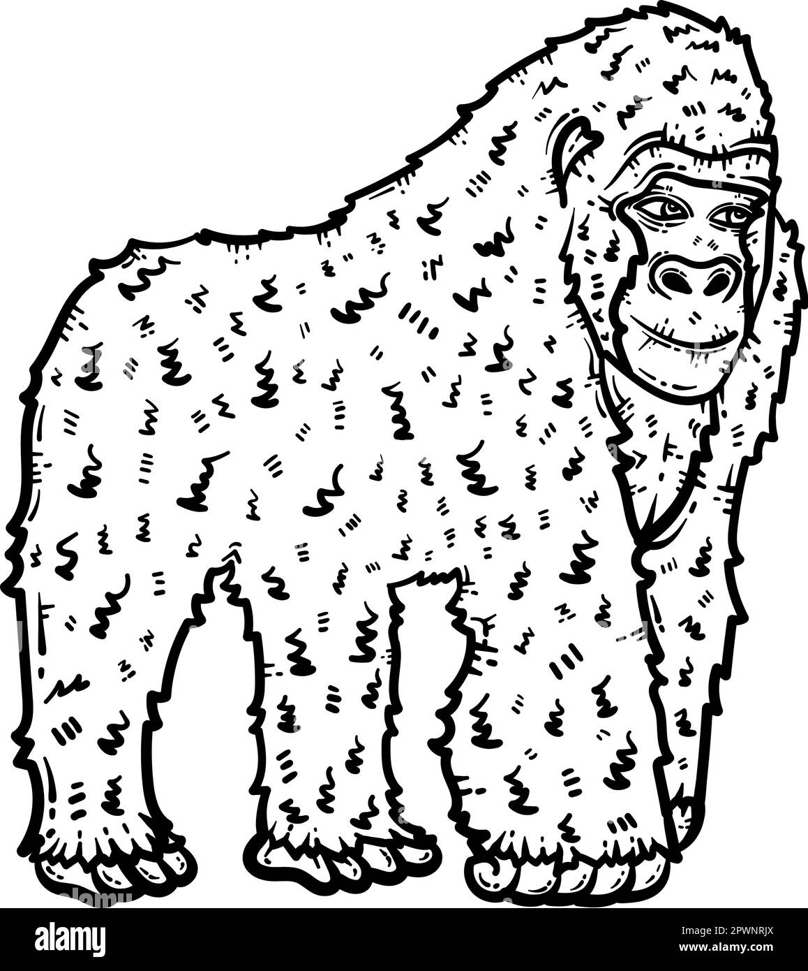 Gorilla Animal Coloring Page for Adults Stock Vector