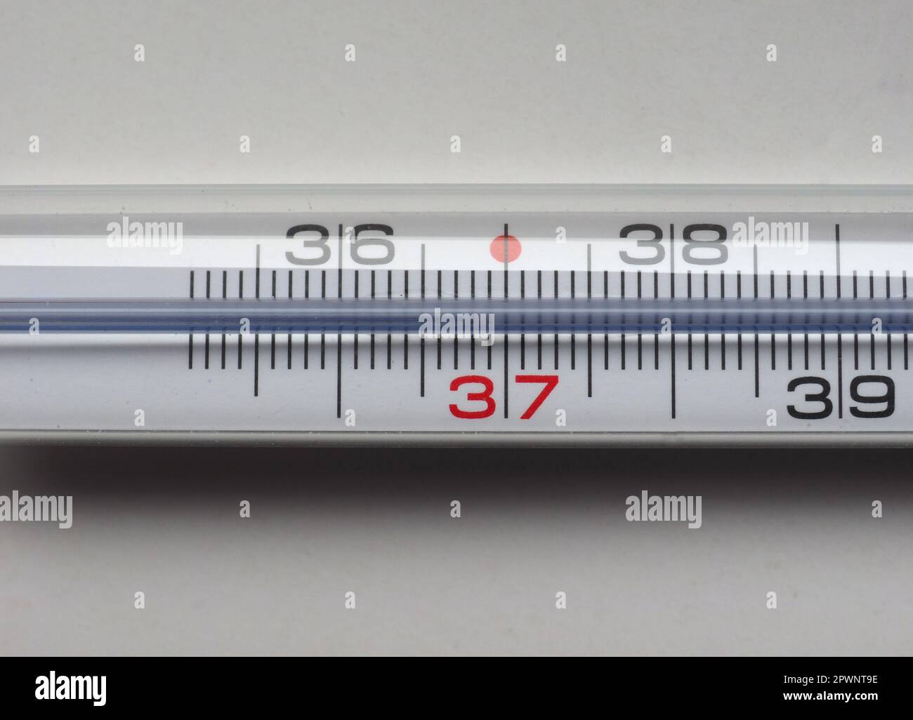 analog thermometer to measure the body temperature Stock Photo Alamy