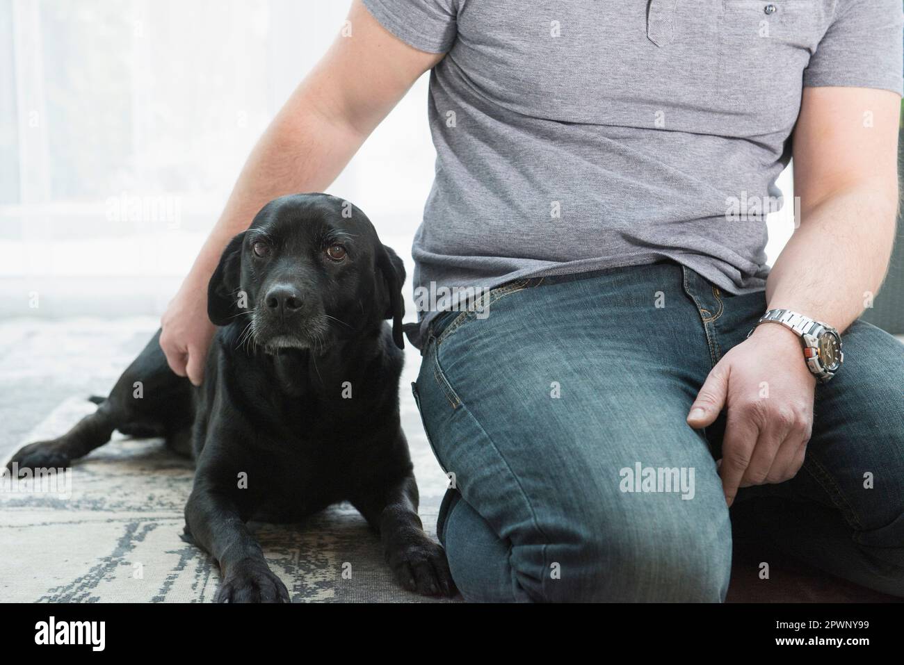 Mid section of man kneeling on carpet with dog Stock Photo