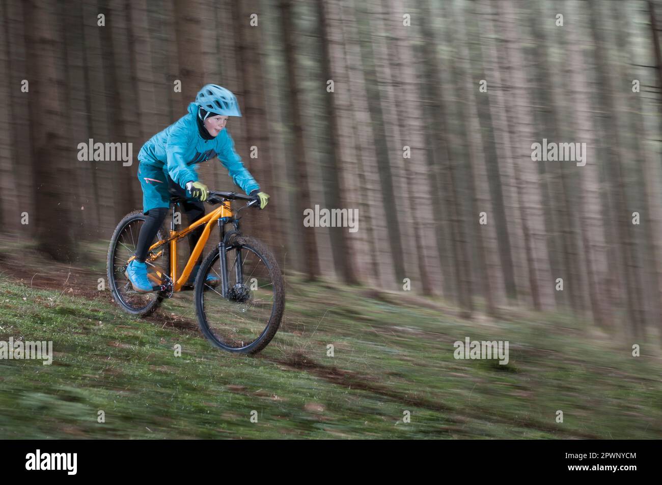 Boy riding mountain bike downhill through forest Stock Photo