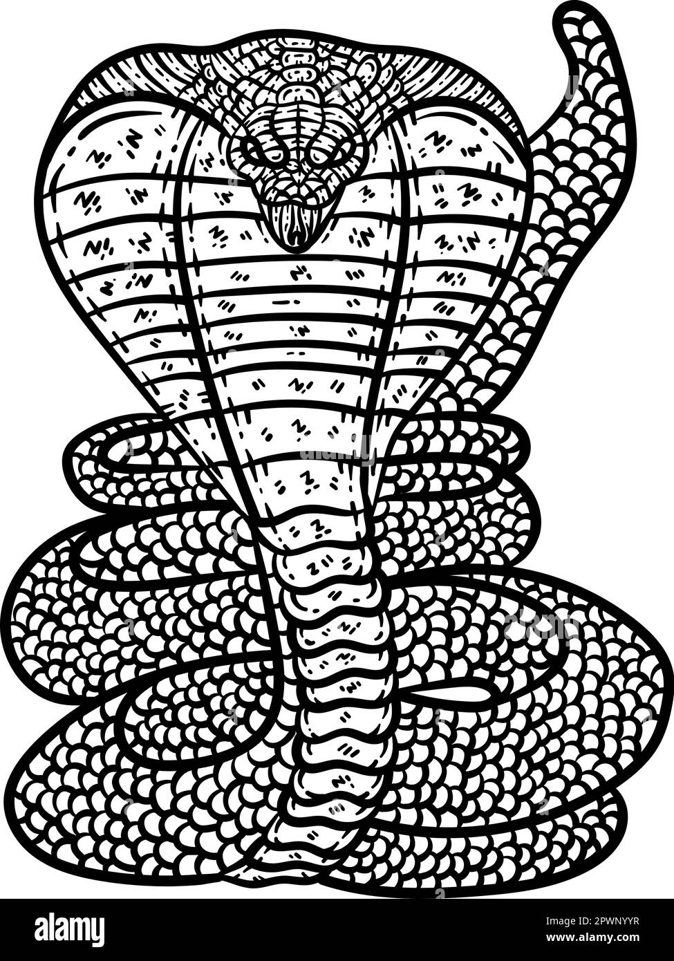 Cobra Animal Coloring Page for Adults Stock Vector