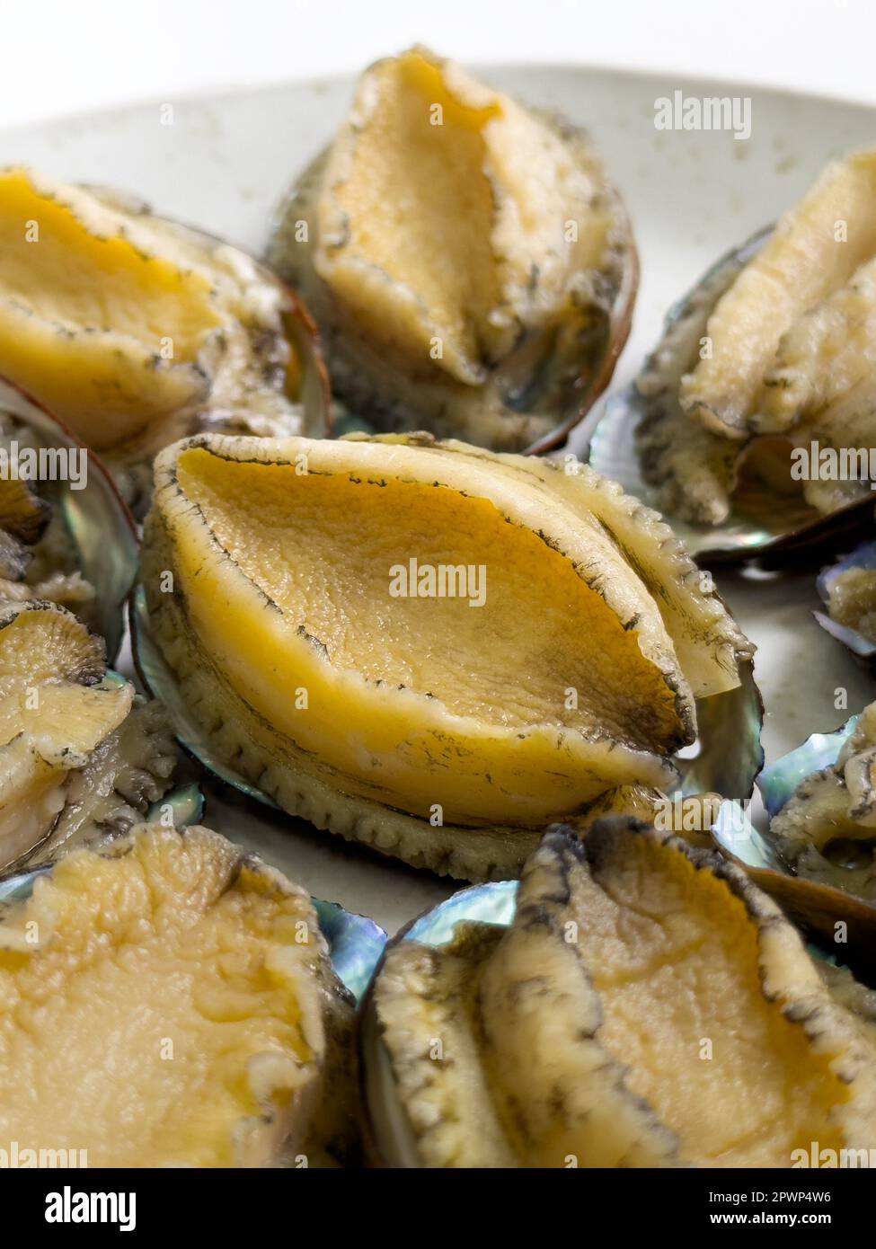 Delicious raw abalone in a plate on white table background. Stock Photo