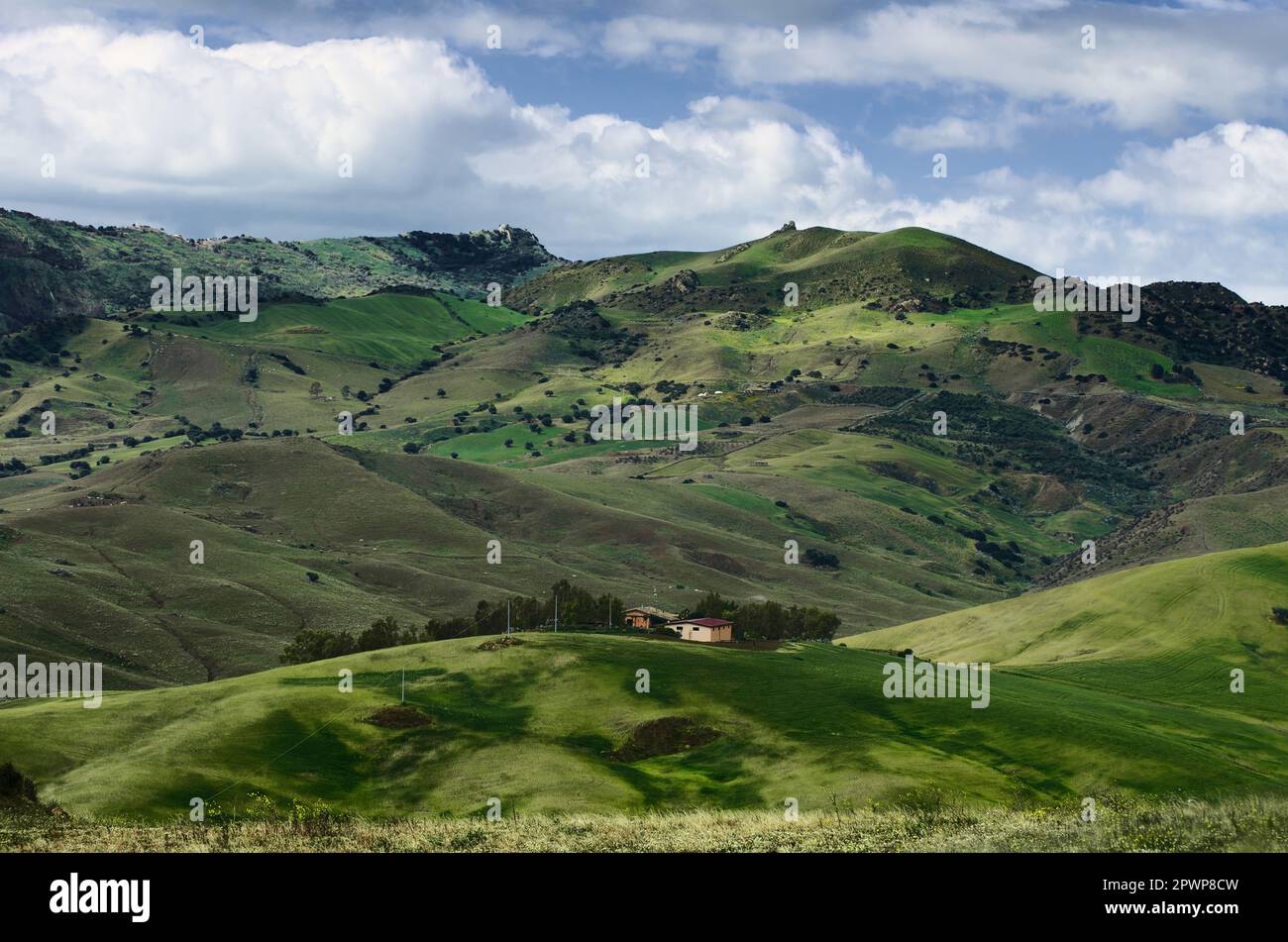 Farm Land In Sicily Italy Stock Photo Alamy farm-land-in-sicily-italy-stock-photo-alamy