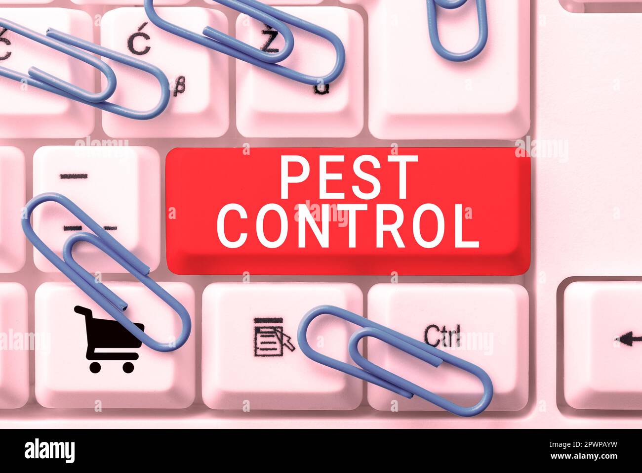 Hand writing sign Pest Control, Word for Killing destructive insects ...