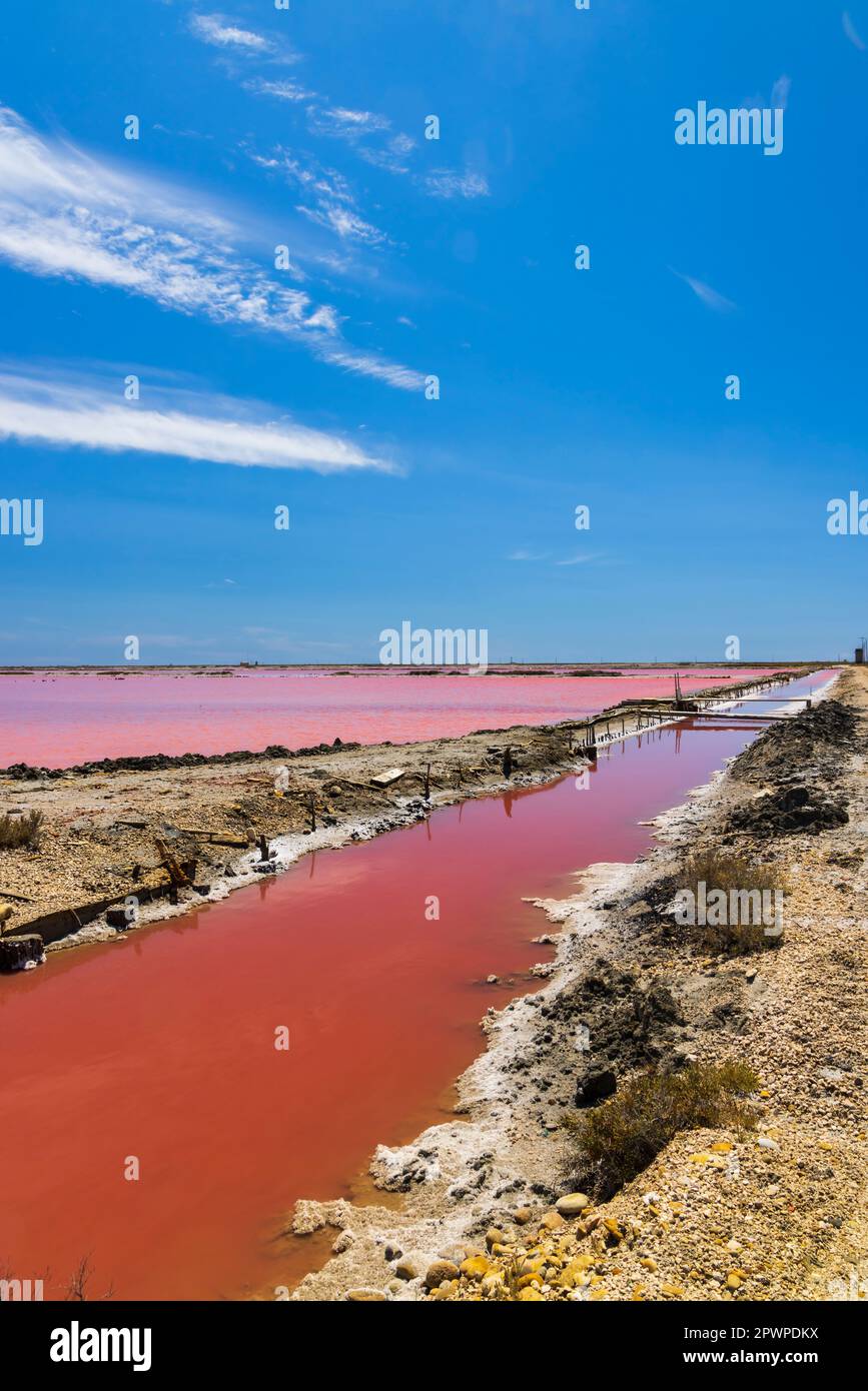 Salin De Giraud In Camargue Region Provence France Stock Photo Alamy salin-de-giraud-in-camargue-region-provence-france-stock-photo-alamy