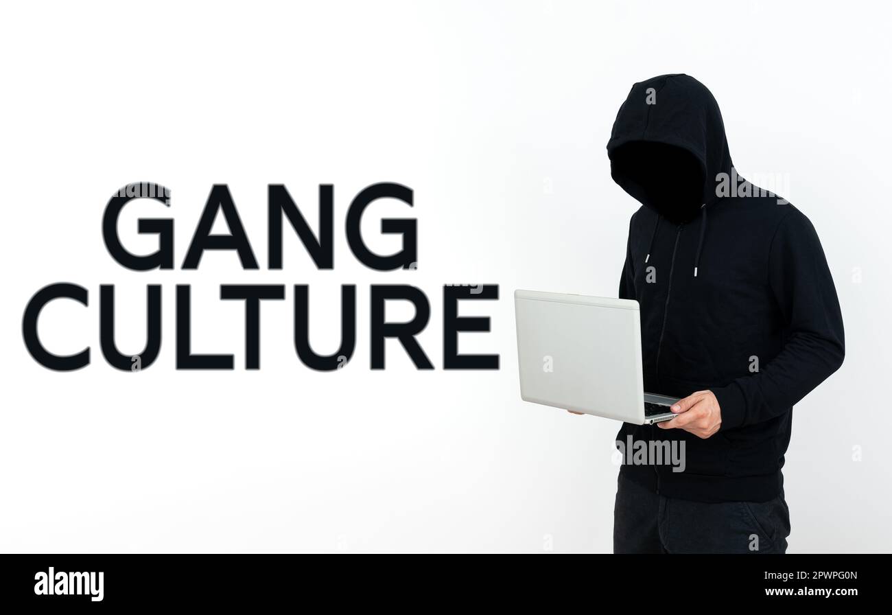 Text sign showing Gang Culture, Business overview particular