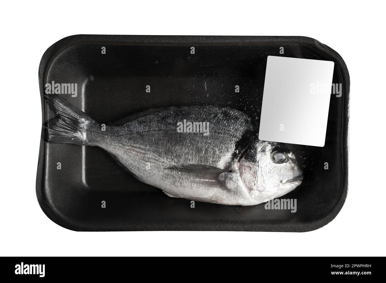 top view closeup one fresh sea bream in black transparent black vacuum packaging with blank white label isolated on background Stock Photo