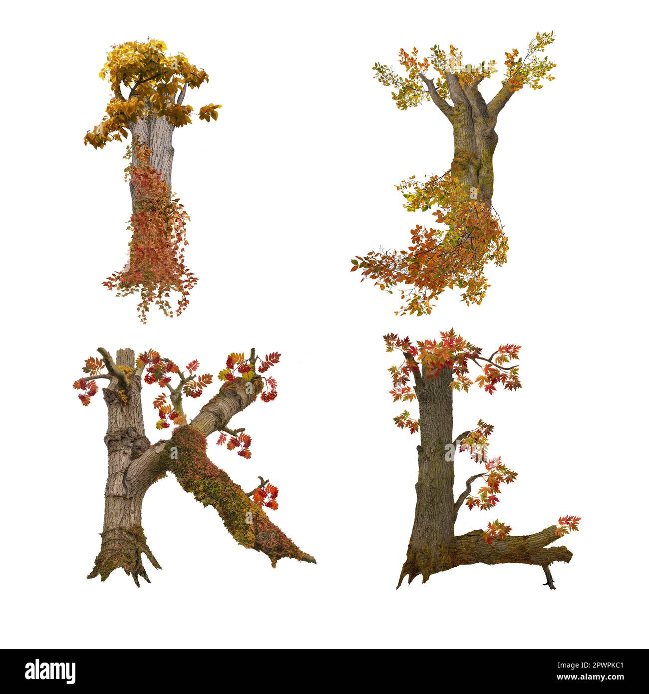 3D illustration of old autumn tree alphabet - letters I-L Stock Photo