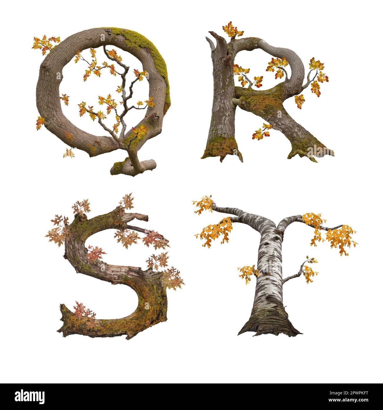 3D illustration of old autumn tree alphabet - letters Q-T Stock Photo