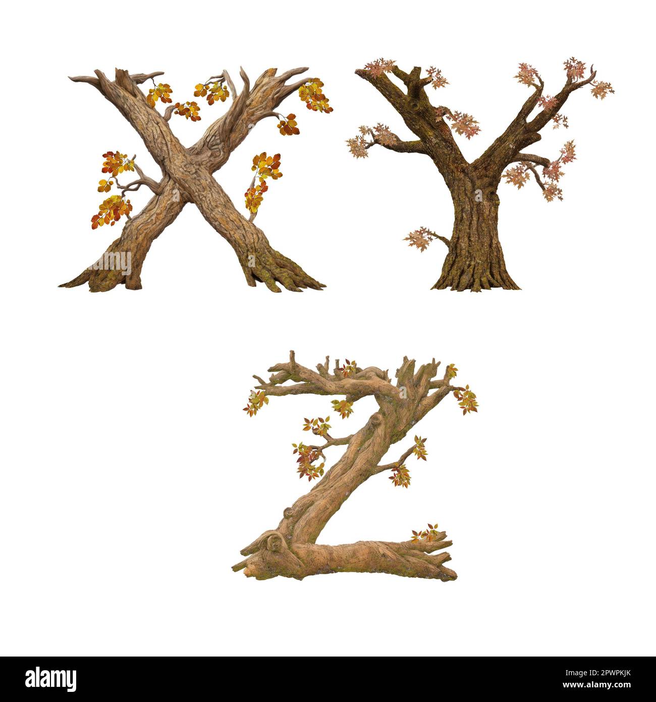 3D illustration of old autumn tree alphabet - letters X-Z Stock Photo