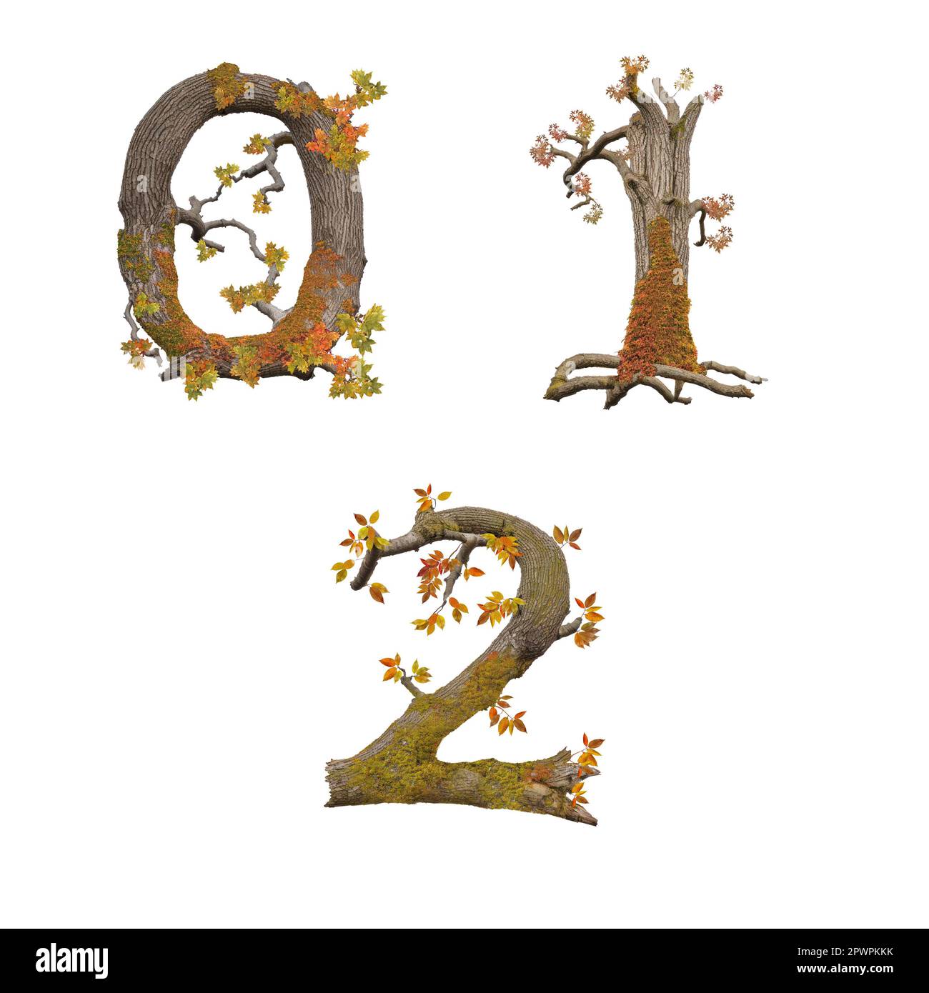3D illustration of old autumn tree alphabet - digits 0-2 Stock Photo