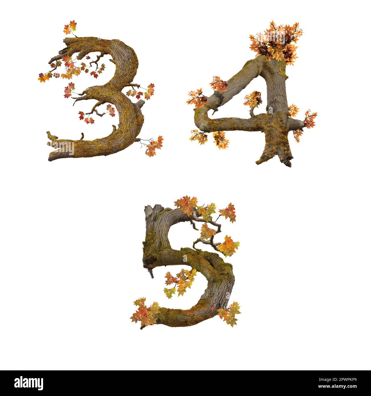 3D illustration of old autumn tree alphabet - digits 3-5 Stock Photo