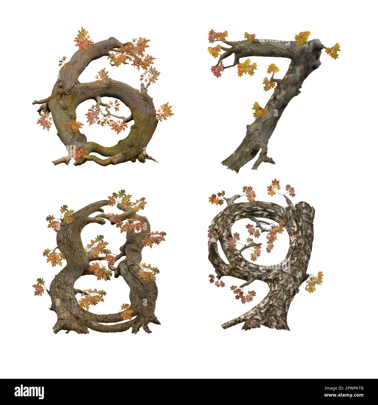 3D illustration of old autumn tree alphabet - digits 3-5 Stock Photo