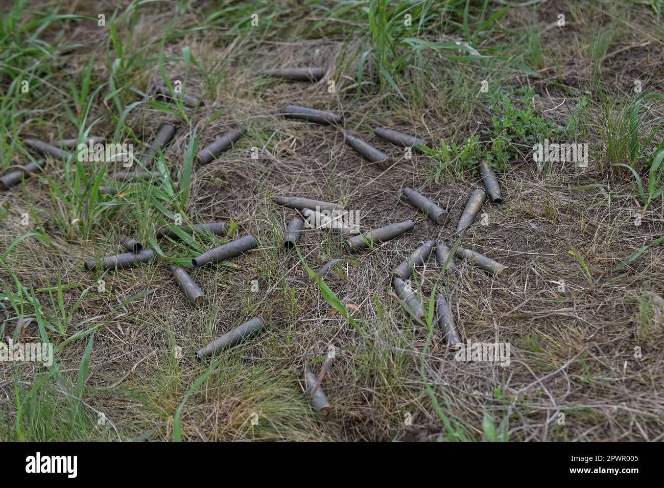 ZAPORIZHZHIA REGION, UKRAINE - APRIL 28, 2023 - Bullet casings lie in the grass during the military exercise to polish offensive actions by a Territor Stock Photo