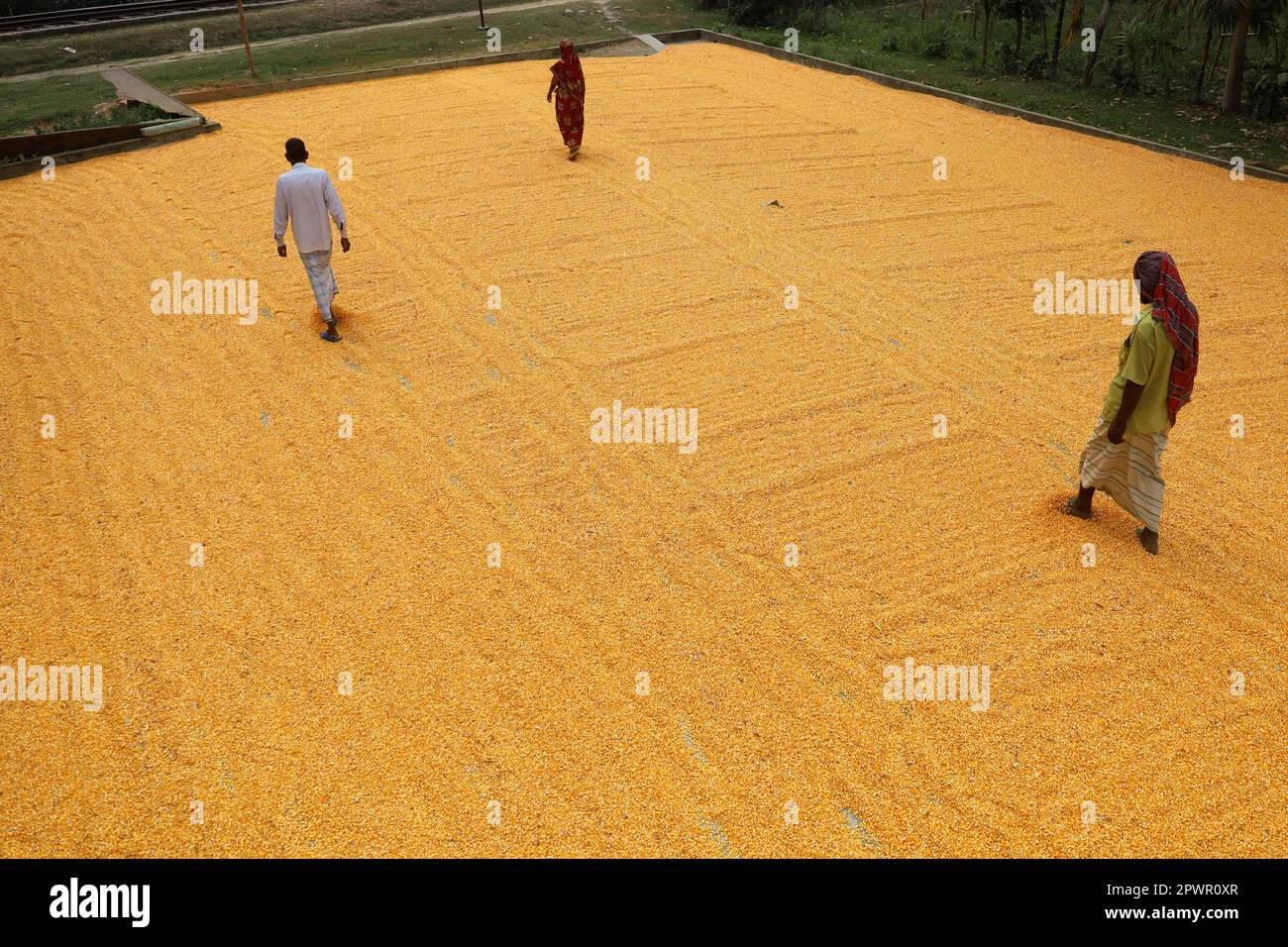 Dewangonj, Jamalpur, Bangladesh. 1st May, 2023. Workers are drying
