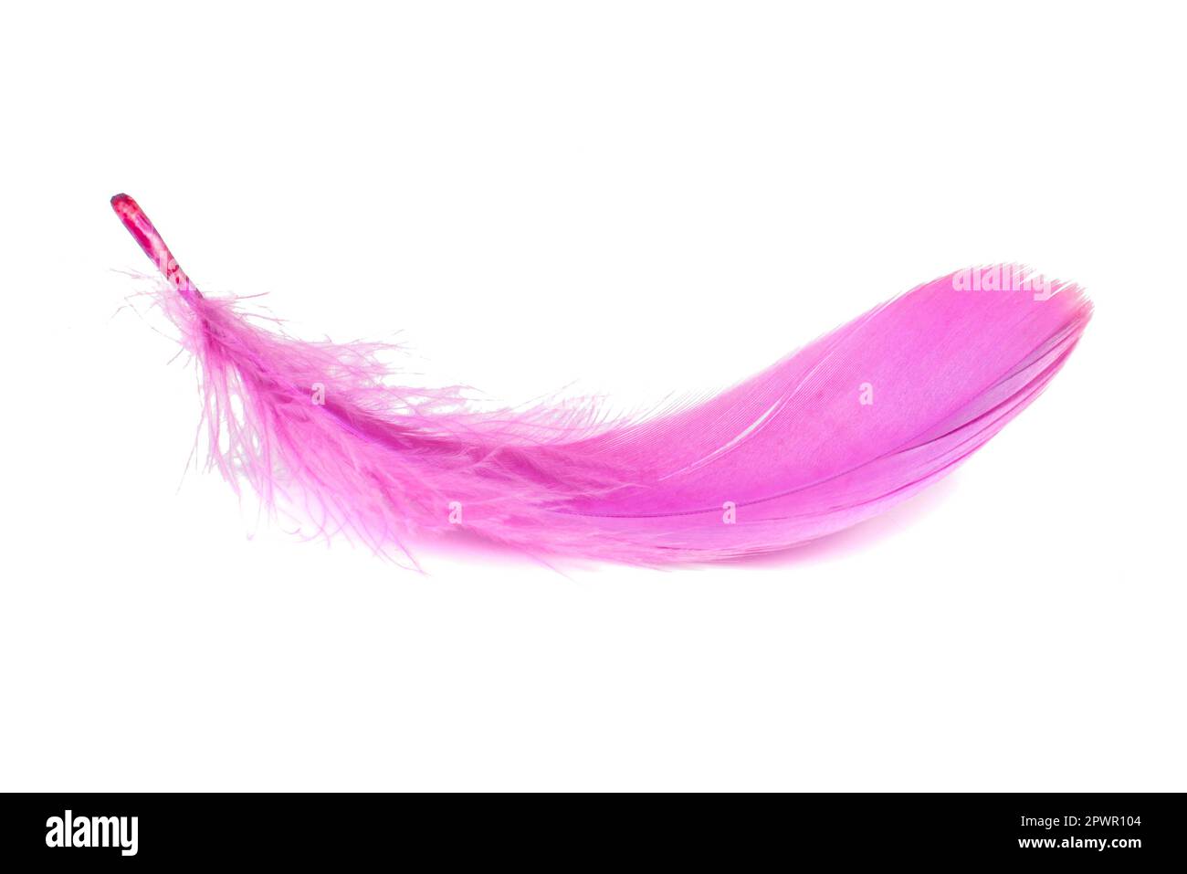 Light Pink Feather Cuff Top main image 1