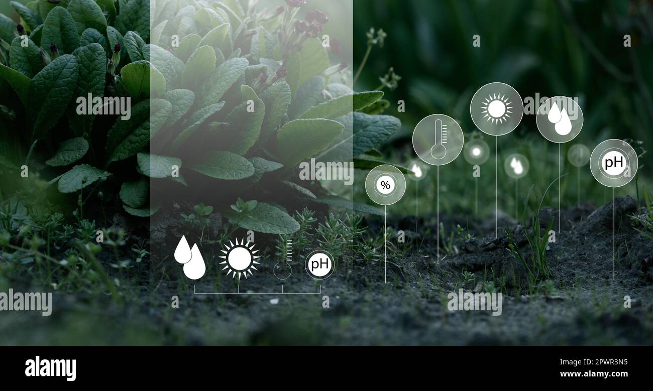 Soil quality control, checking the level of moisture, alkaline