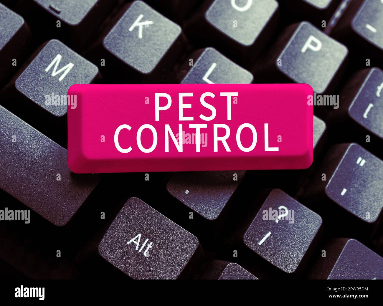 Hand writing sign Pest Control, Internet Concept Killing destructive ...