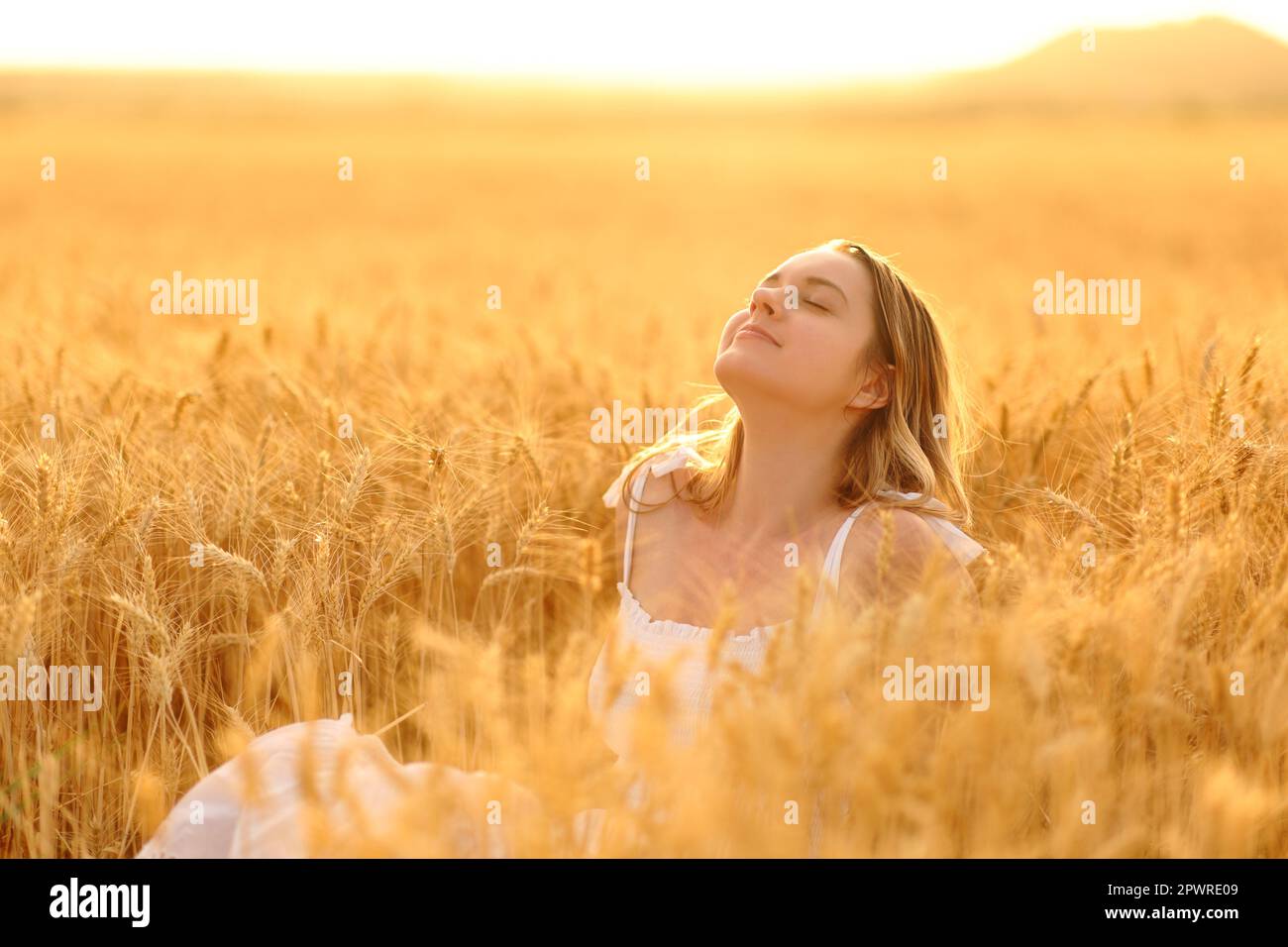 Woman breathing fresh air sitting in a golden wheat field Stock Photo ...
