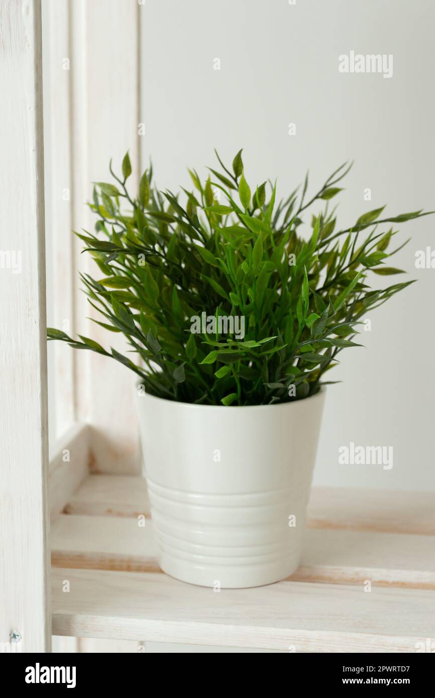 Artificial green grass in white pot. Interior objects concept Stock