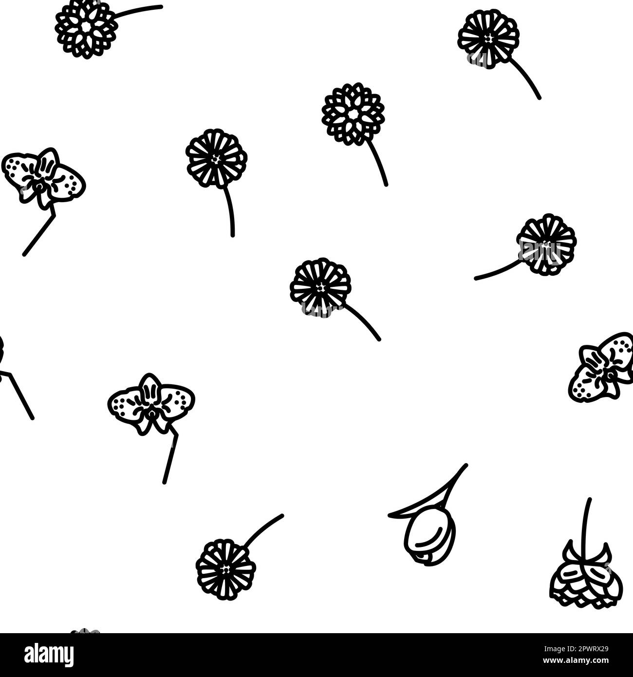 flower spring floral nature vector seamless pattern thin line ...