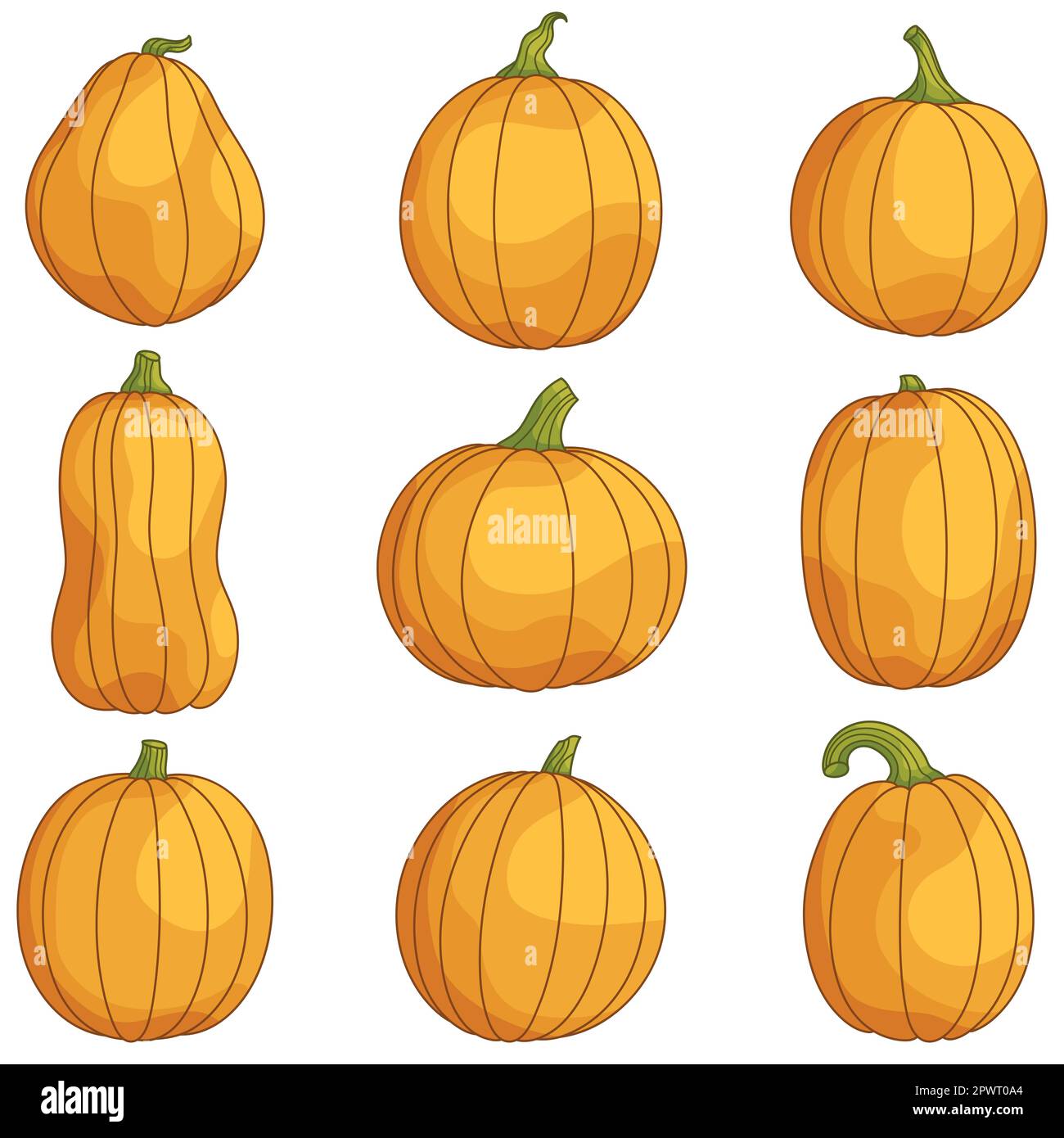 Collection of orange pumpkins for Halloween, Thanksgiving, Harvest ...