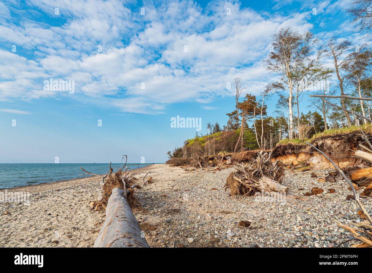 Beach on shore of the Baltic Sea in Graal Mueritz, Germany. Stock Photo