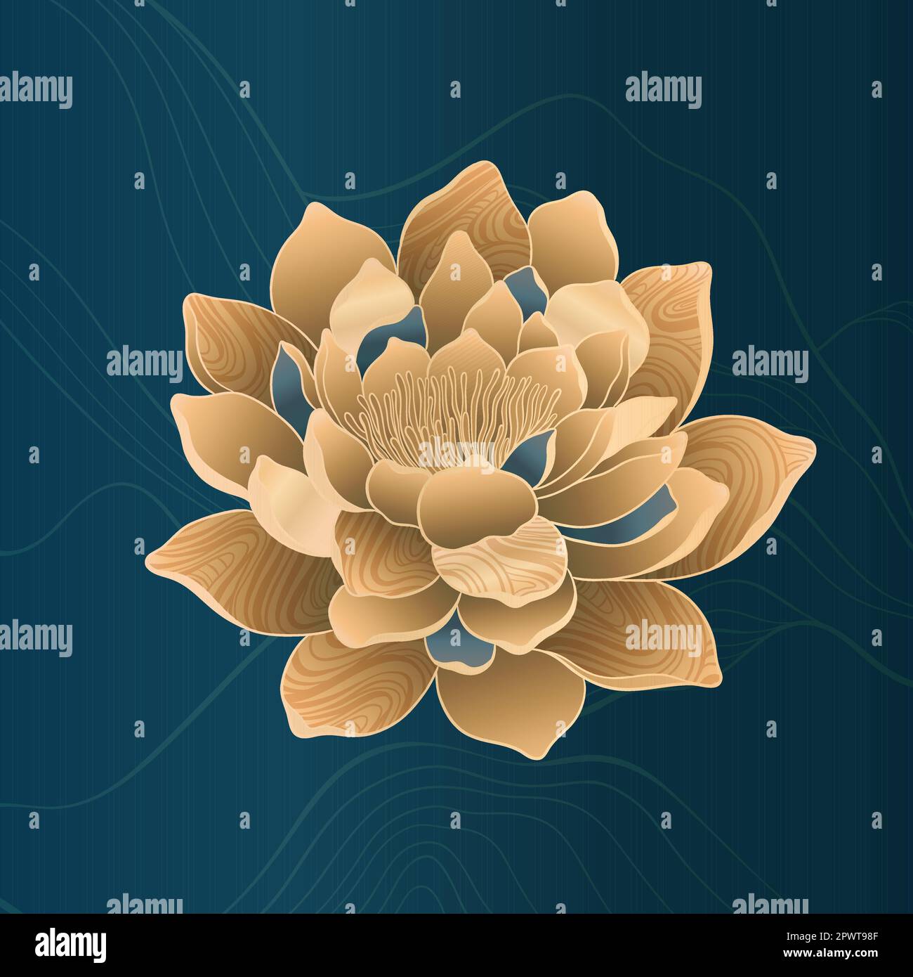 Lotus flowers for luxury and exclusive use in design. Water lilies in gold and blue colors, isolated lotus elements. Nelumbo made in Chinese Stock Vector