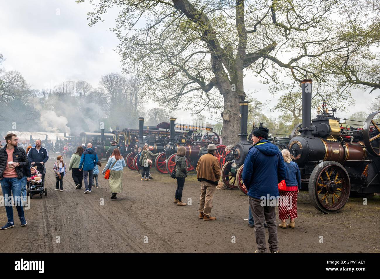 Antrim, N. Ireland. 1st May, 2023. The Shanes Castle Steam Rally took place on Sun 30th Apr and Mon 1st May and attracted thousands of people. Steam Traction Engines, tractors, a fun fair, classic cars and birds of prey demonstrations were just a few of the attractions. Credit: AG News/Alamy Live News Stock Photo