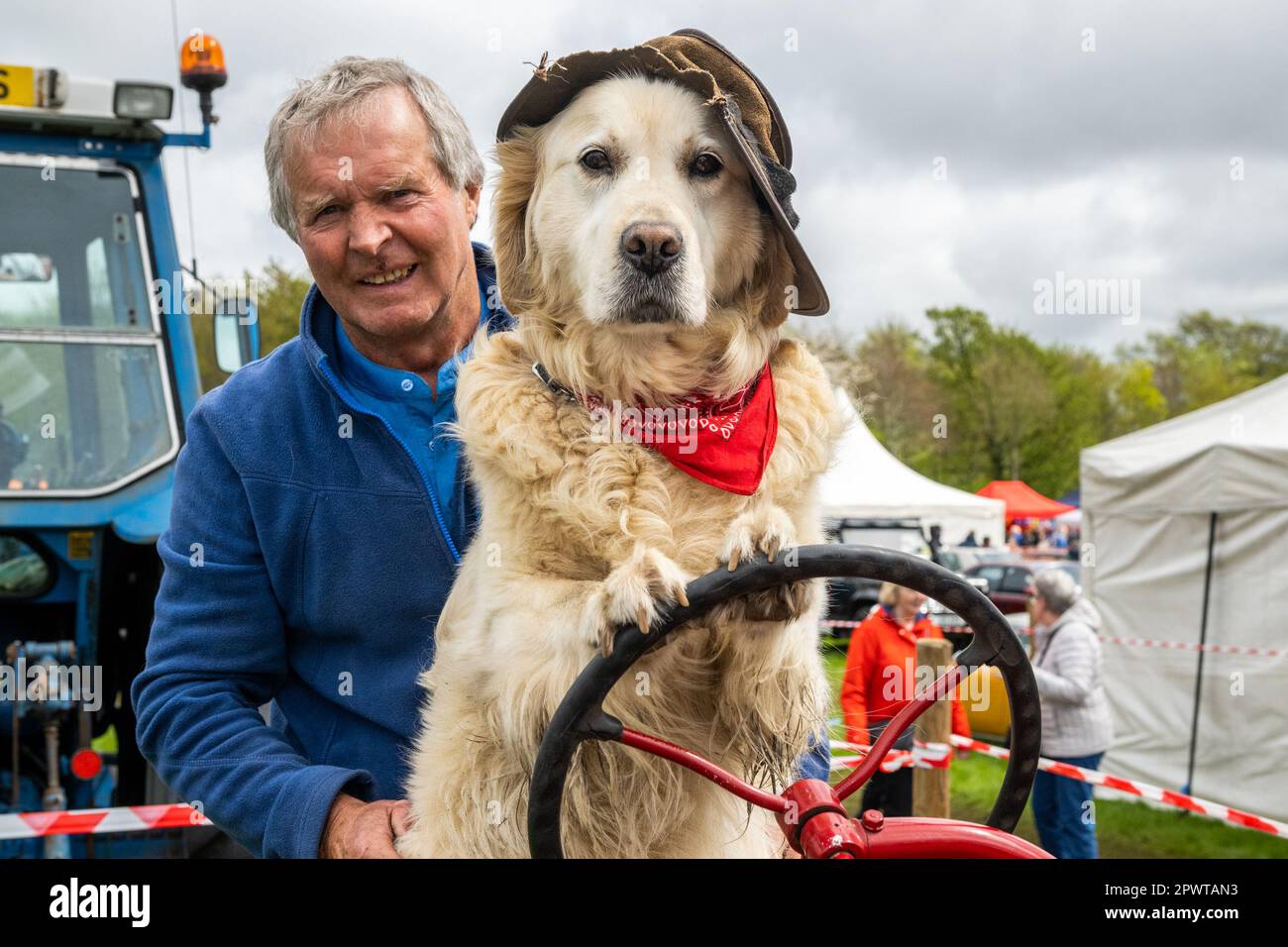 Antrim, N. Ireland. 1st May, 2023. The Shanes Castle Steam Rally took place on Sun 30th Apr and Mon 1st May and attracted thousands of people. Steam Traction Engines, tractors, a fun fair, classic cars and birds of prey demonstrations were just a few of the attractions. At the rally with his 1947 International Cub tractor was Albert Reid with his dog 'Rambo'. Credit: AG News/Alamy Live News Stock Photo