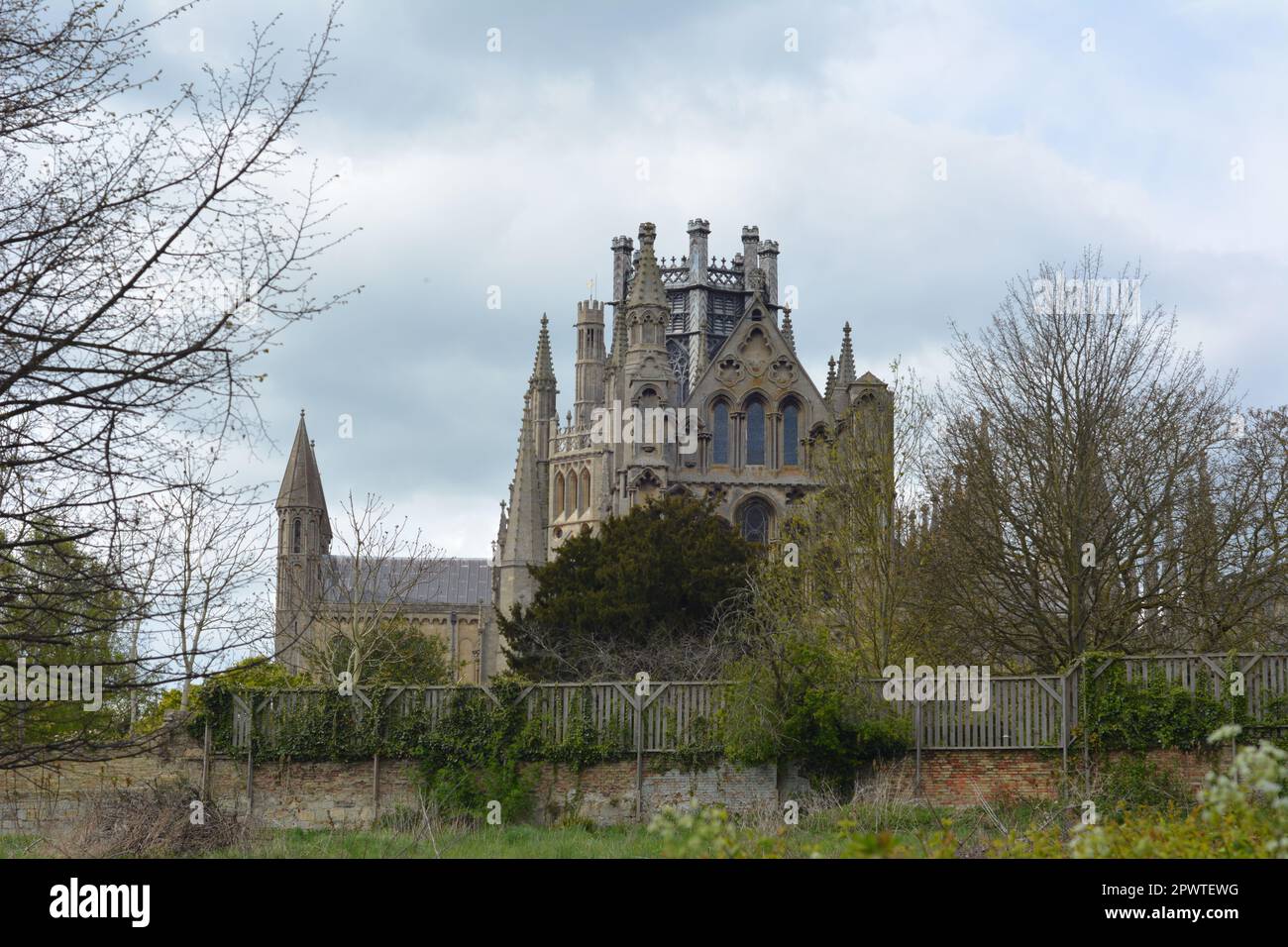 Ely Cathedral view with trees in eye line Stock Photo - Alamy