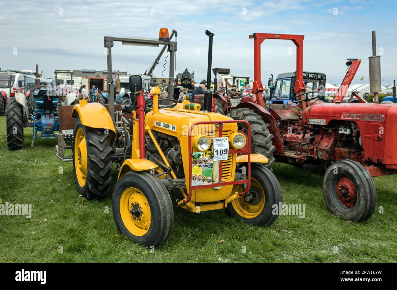 Massey Ferguson 35X. Llandudno Transport Festival 2023. Stock Photo