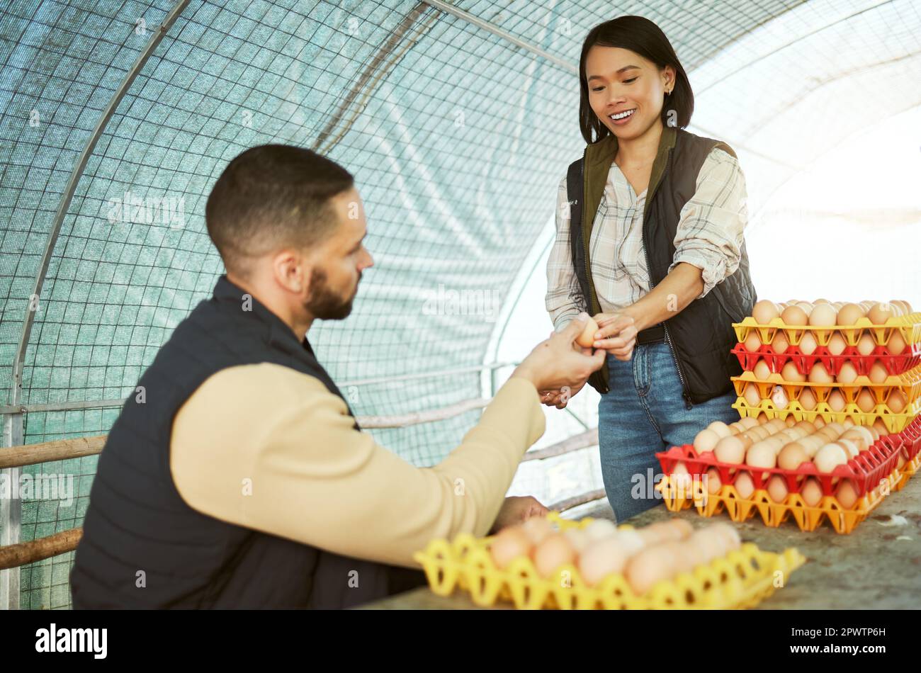 Egg farmer, food and couple at chicken farm checking health, production or growth of eggs. Poultry agriculture, sustainability or inspection of protei Stock Photo